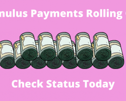 Stimulus Payments Rolling Out: Check your status here!